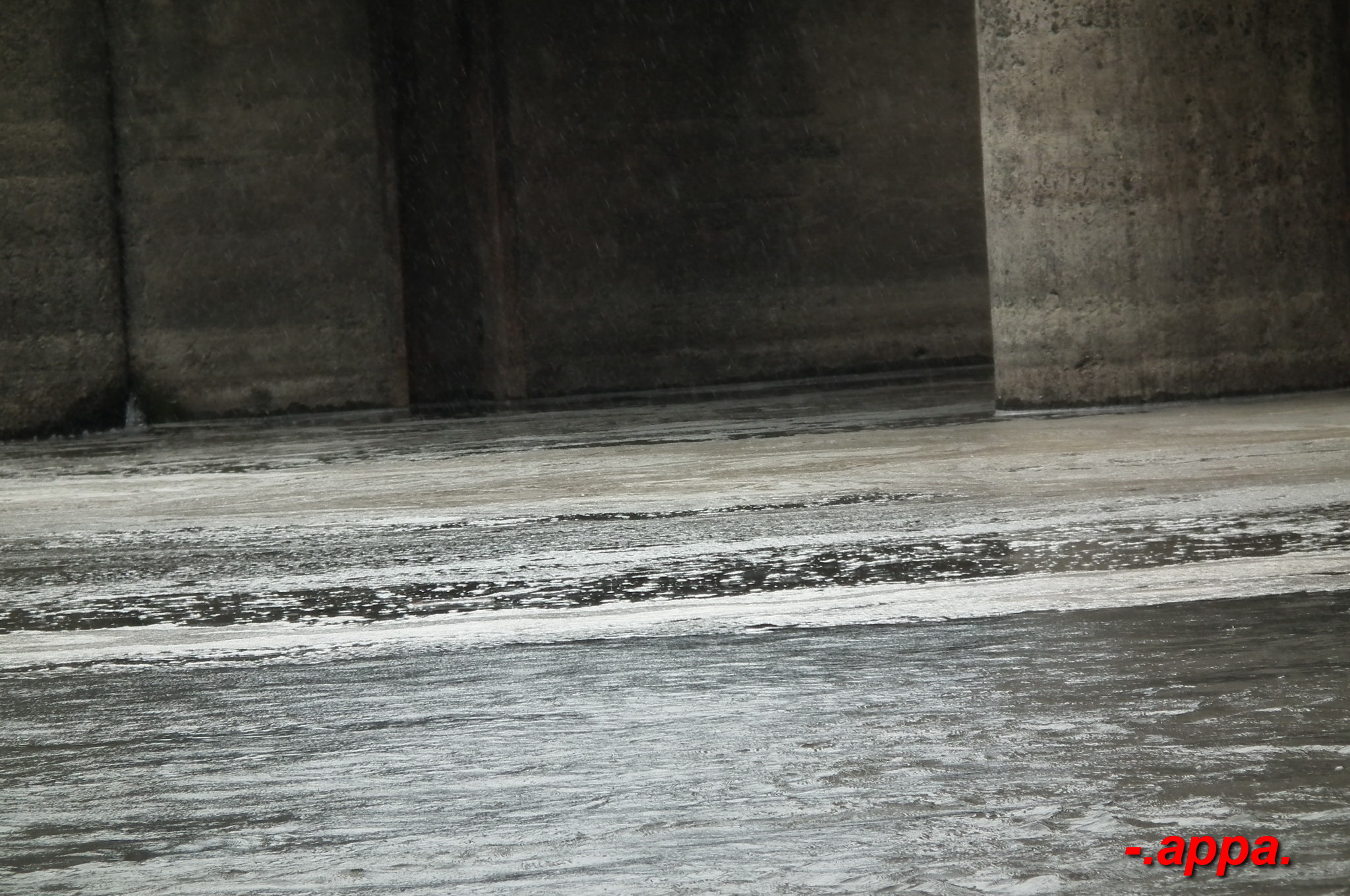 dscf7301.JPG