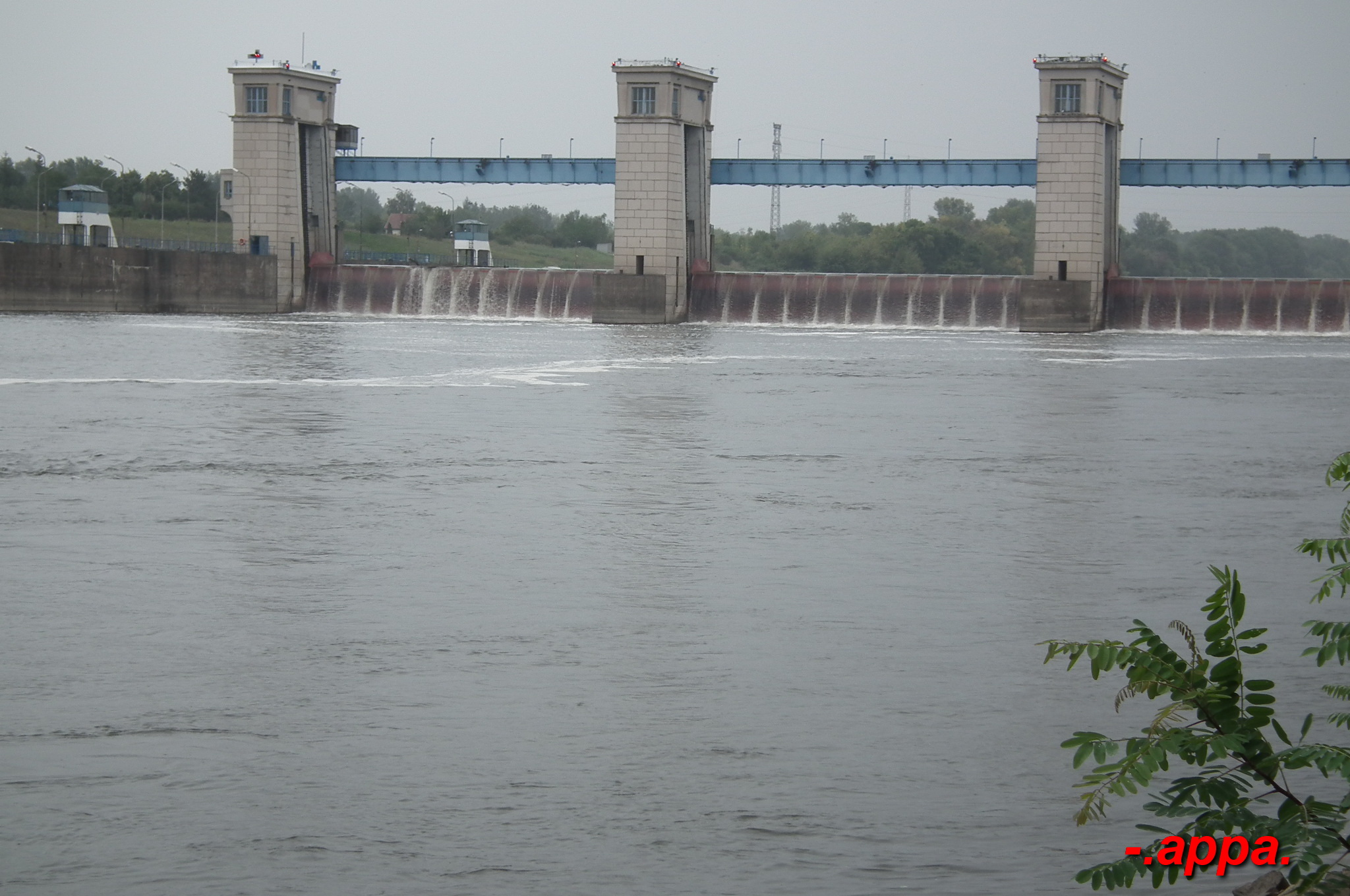 dscf7305.JPG