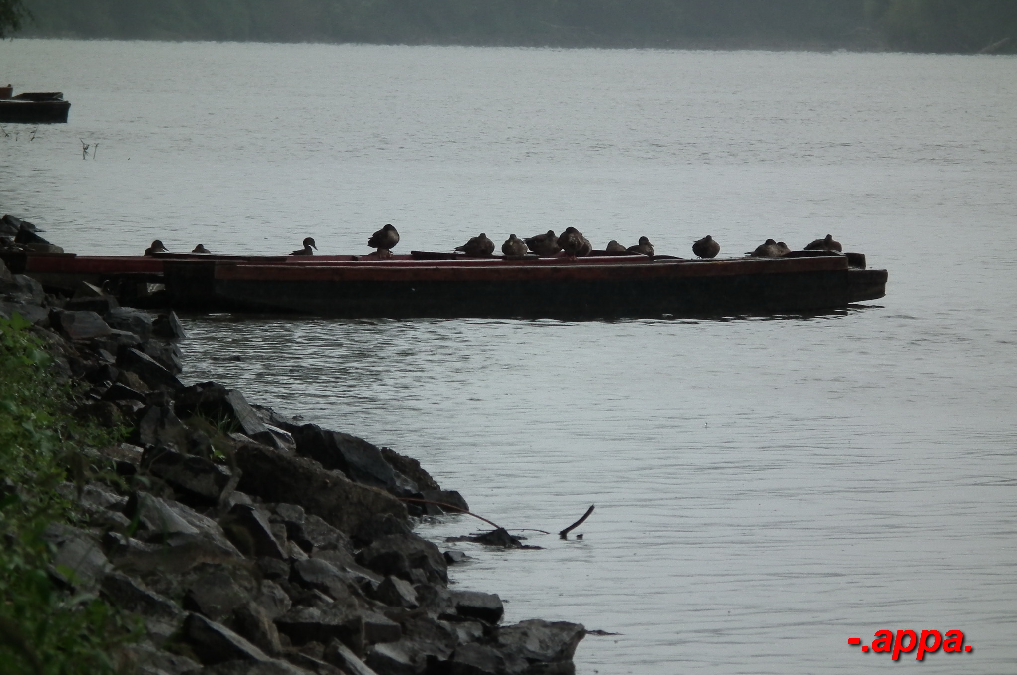 dscf7308.JPG