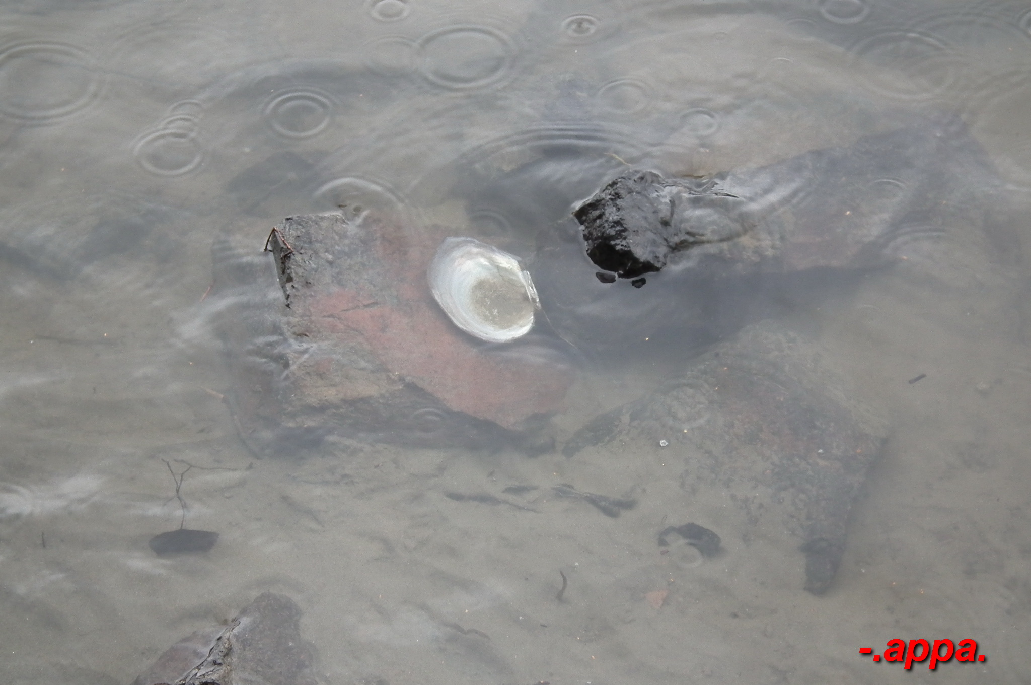 dscf7312.JPG
