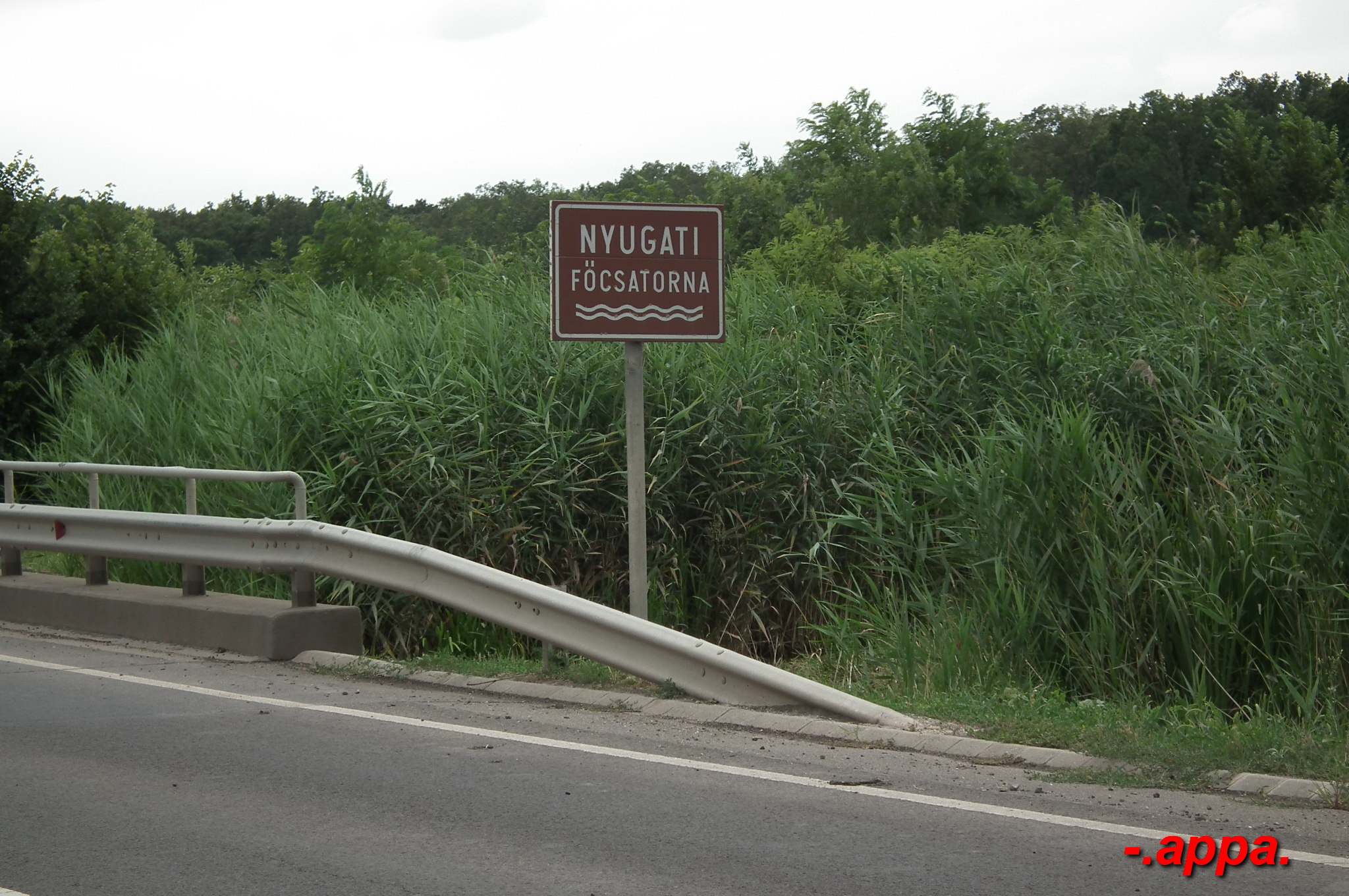 dscf7579.JPG
