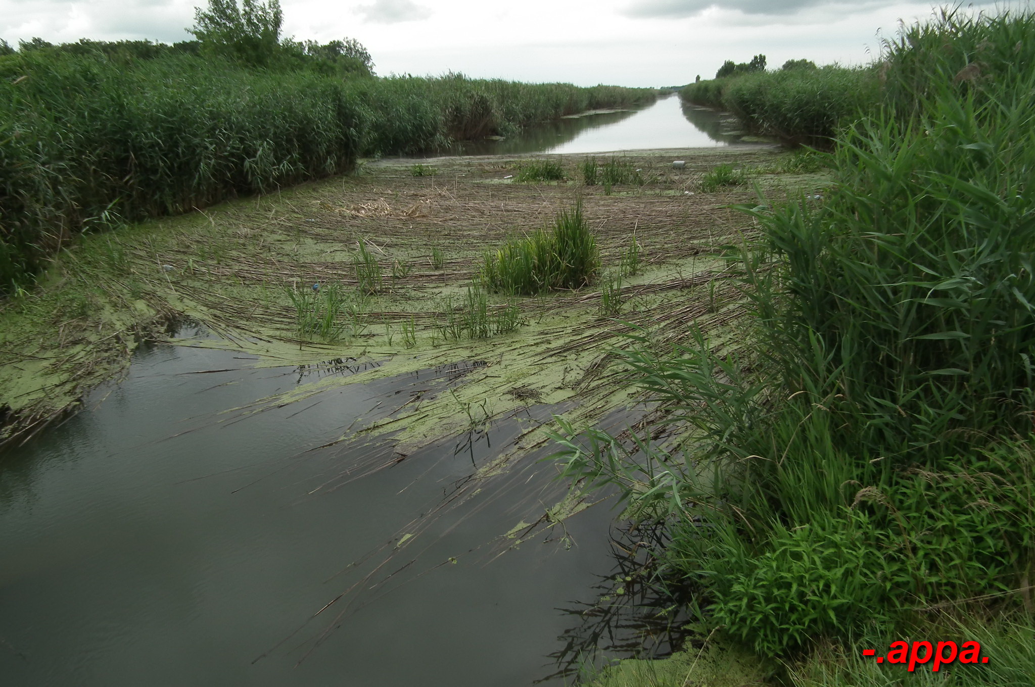 dscf7580.JPG