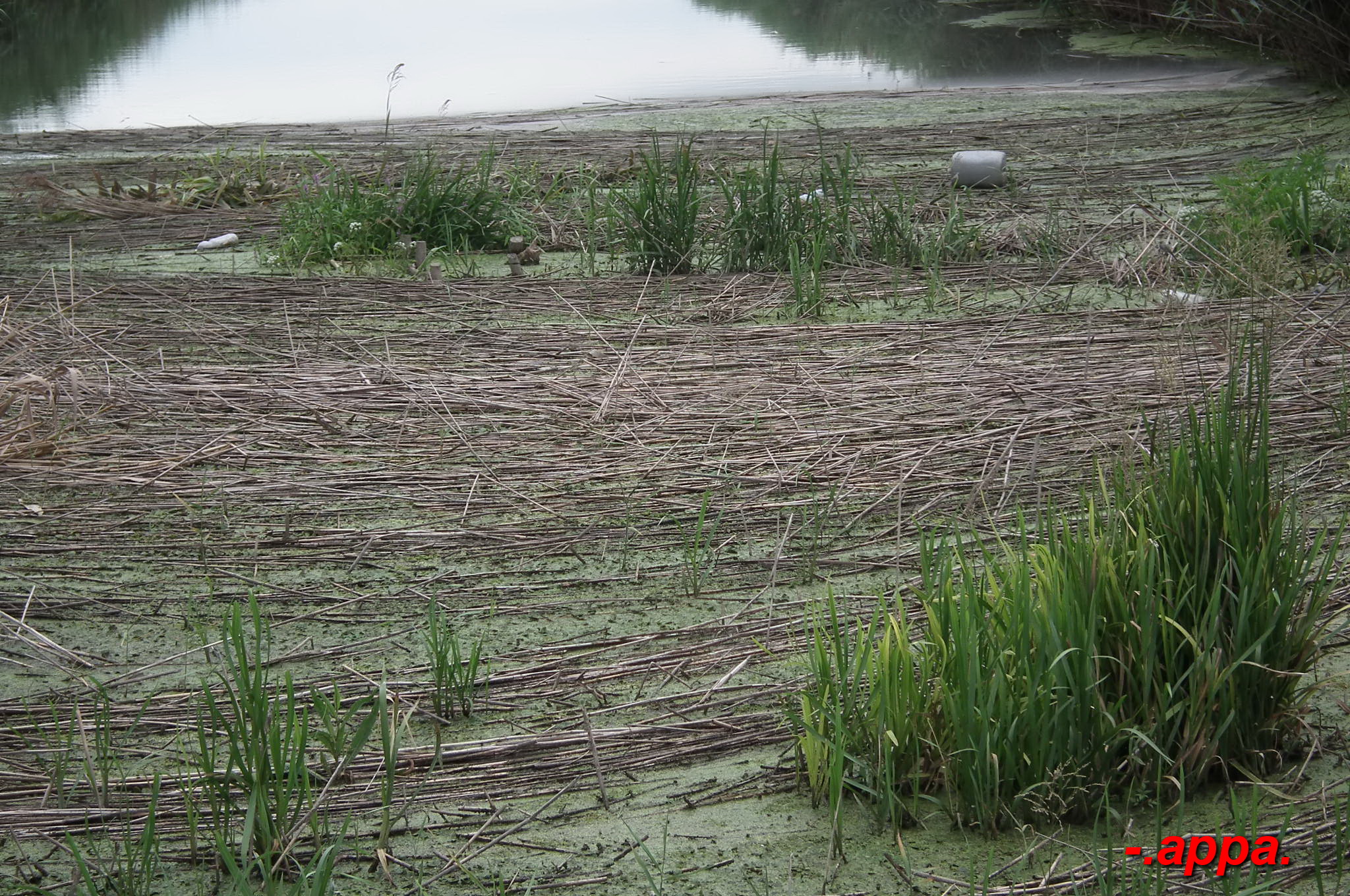dscf7581.JPG