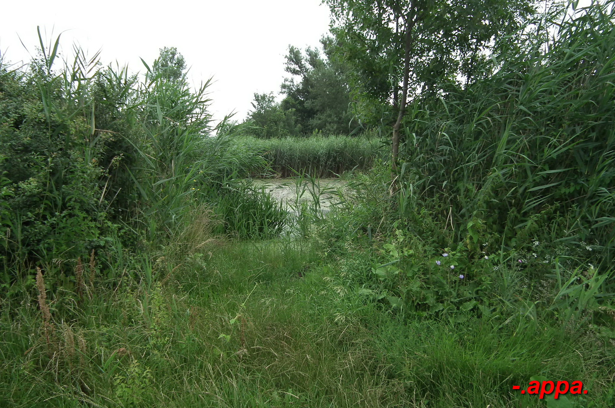 dscf7582.JPG
