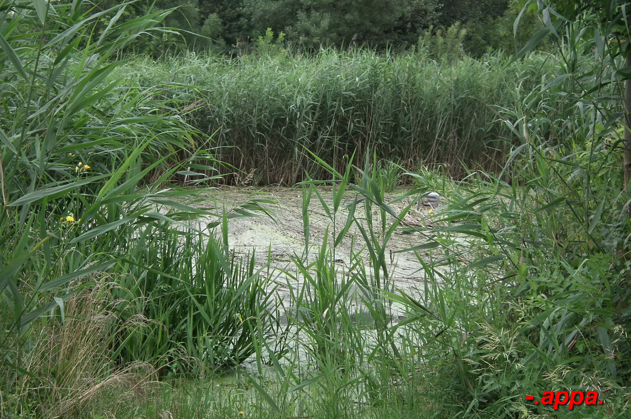 dscf7583.JPG