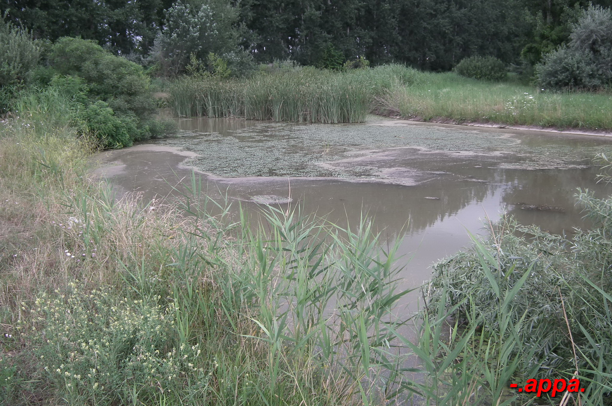 dscf7590.JPG