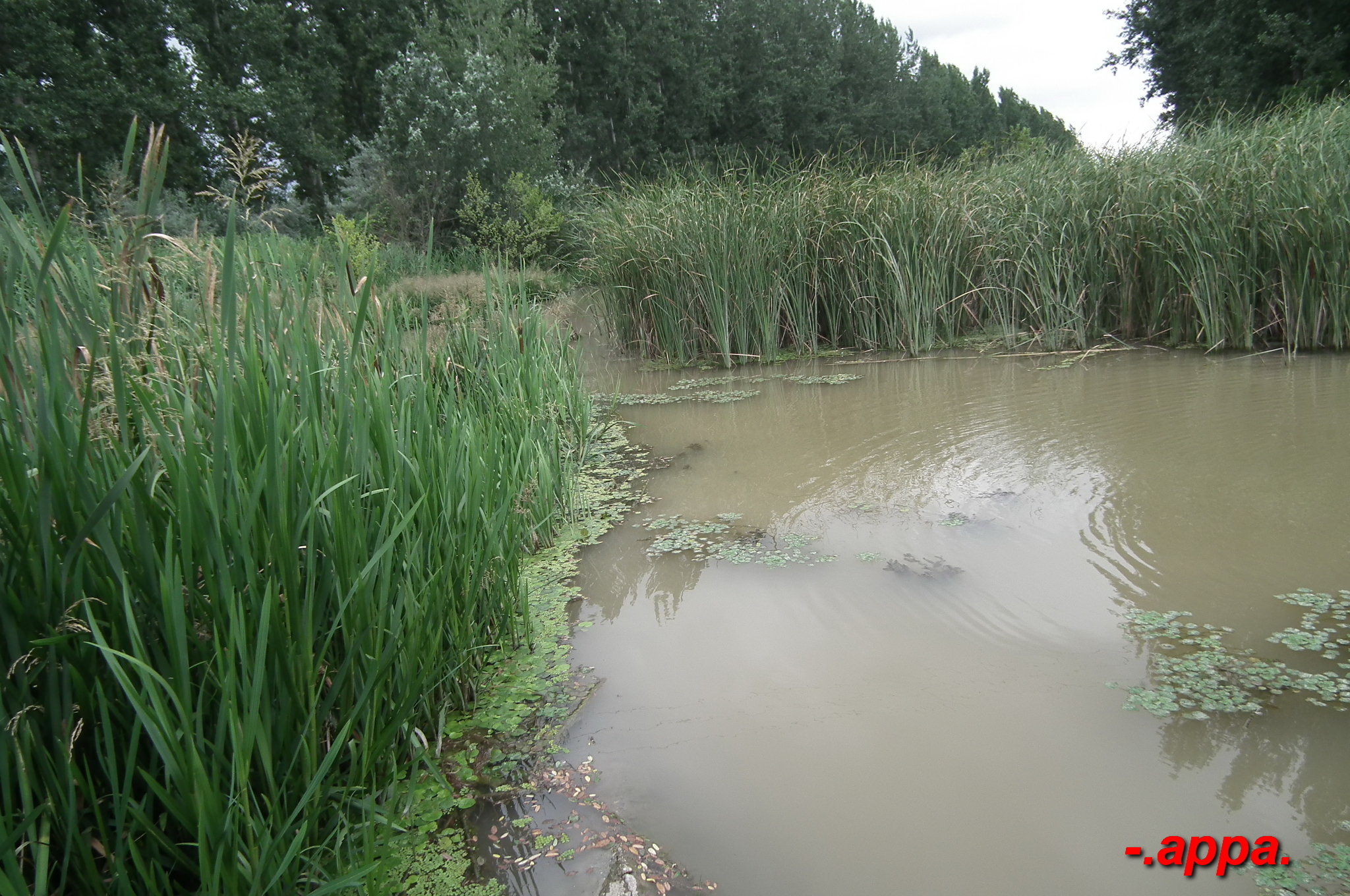 dscf7592.JPG