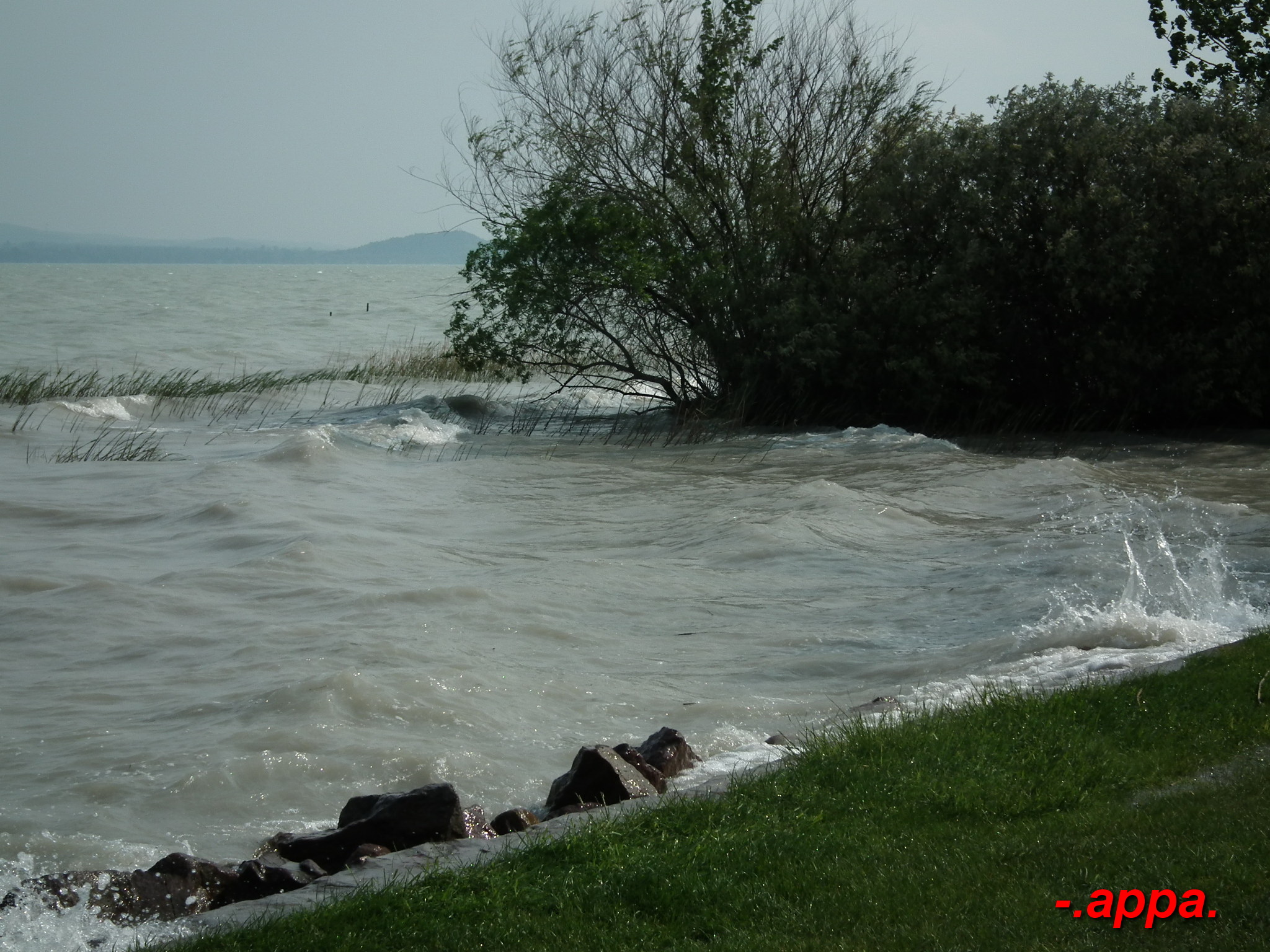 balcsi_2010_18_.JPG