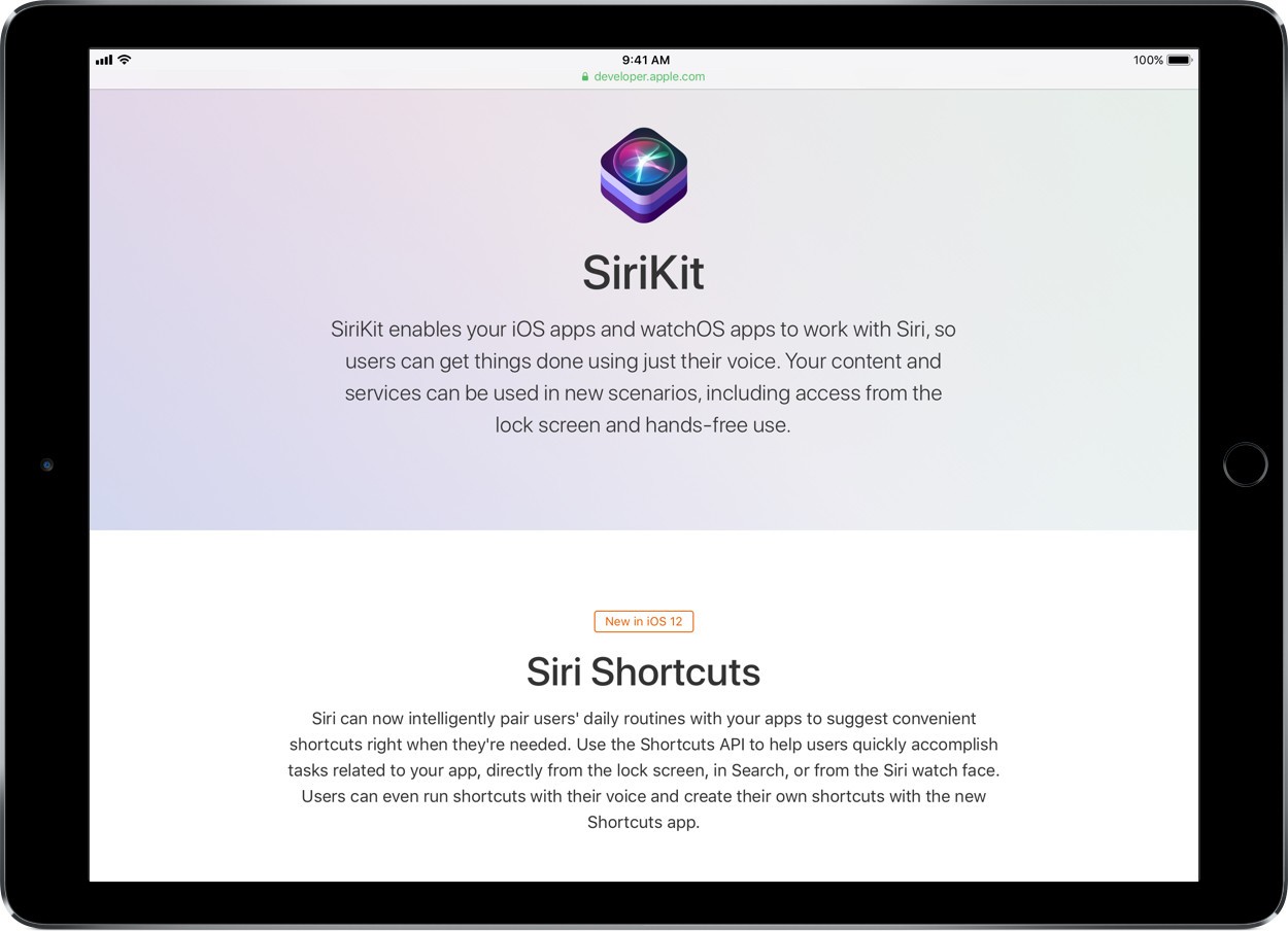 safari-sirikit-site-display-ipad-screenshot-02.jpeg