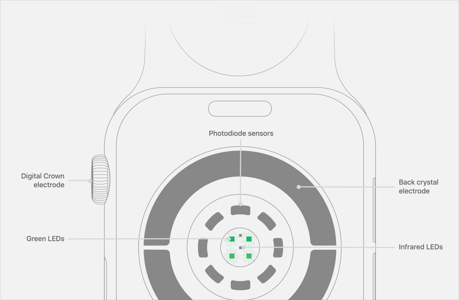 watch-series4-measure-ecg-sensors.png