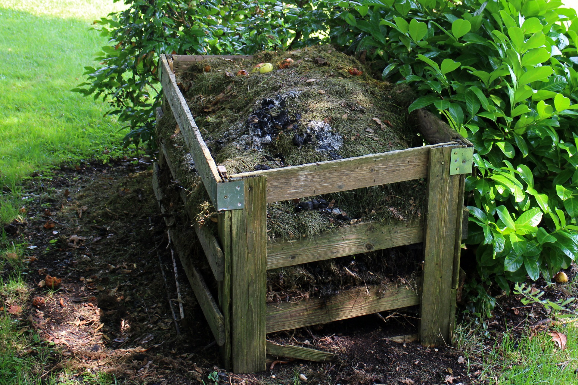 compost-419259_1920.jpg