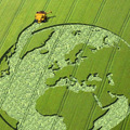 Globális problémák a mezőgazdaságban