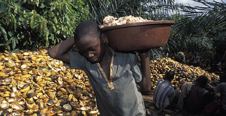 child-labourer-at-a-cocoa-plantation-in-ghana-photo-intl_-cocoa-initiative-2.jpg