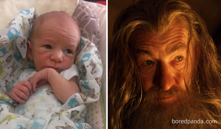 gandalf.jpg