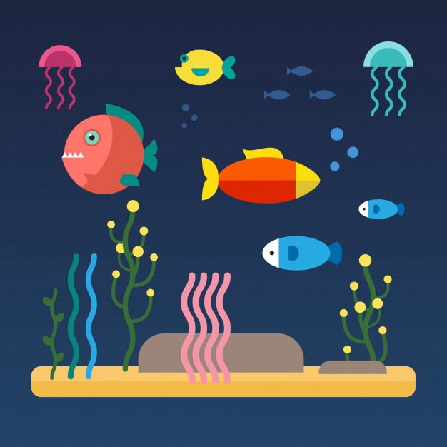 fishes-swimming-at-the-sea-bottom_3446-242.jpg