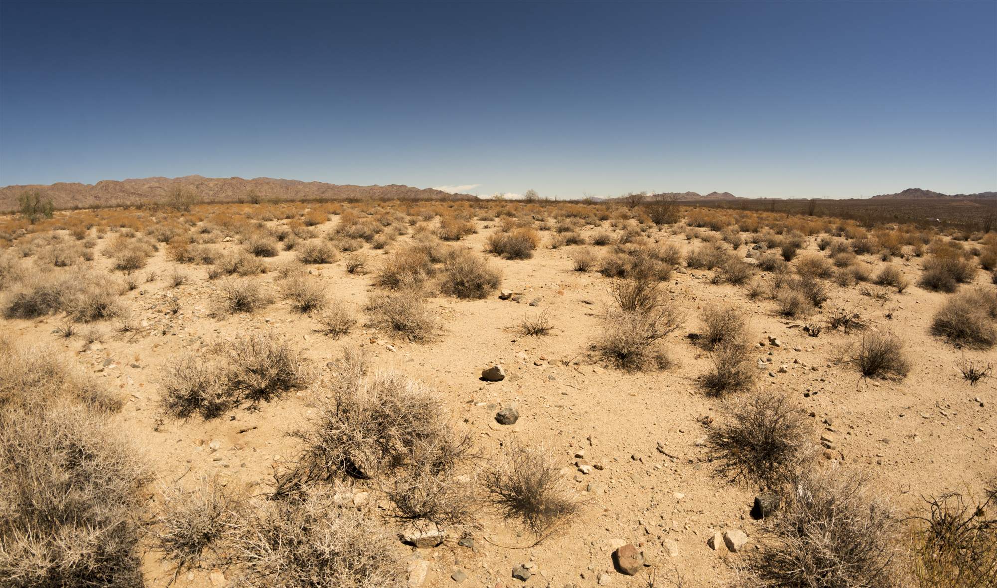 lampert_benedek_desert.jpg