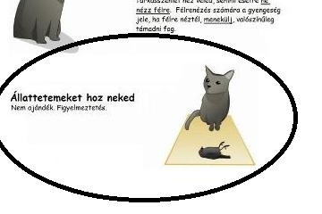 Névtelen.png