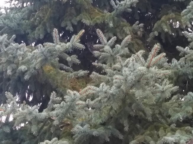 p_20231225_142817.jpg