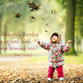 Fejlődj hogy változzon az életed !