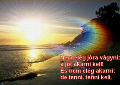 www_tvn_hu_4dee2c33bf9c096fdc22c01eeb24f3e5.jpg