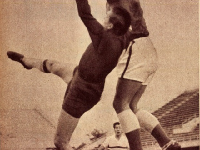 A turáni kapusátok