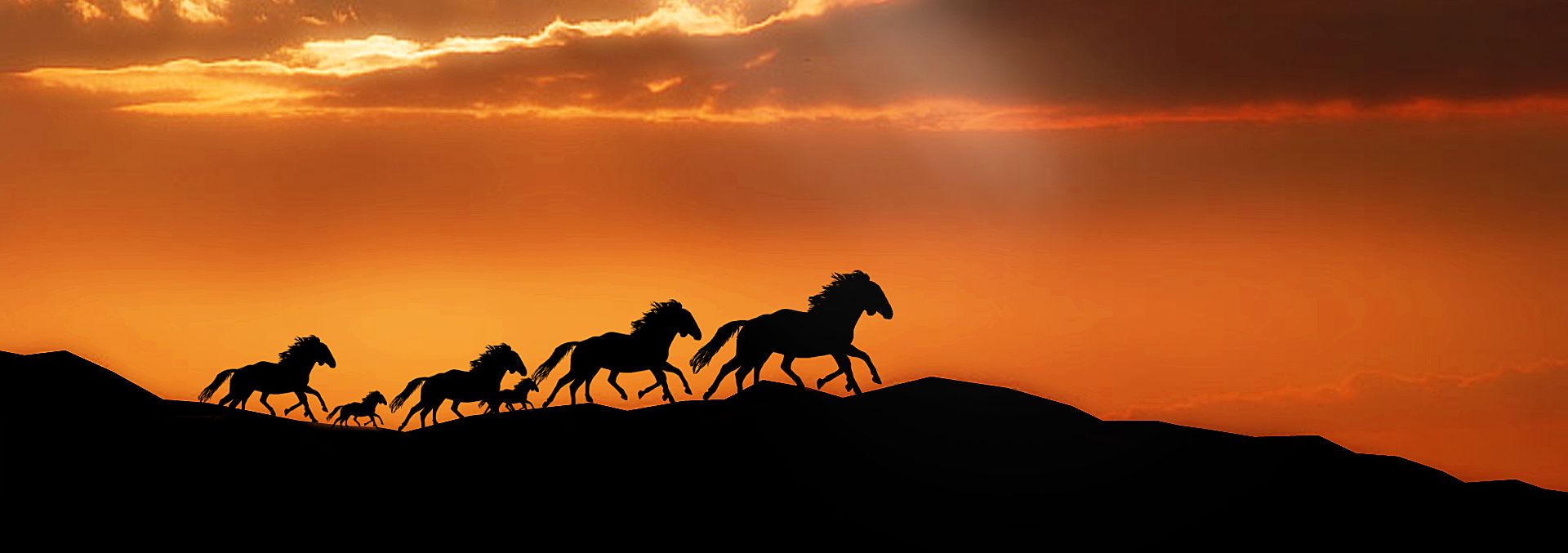 Sunset ride.jpg