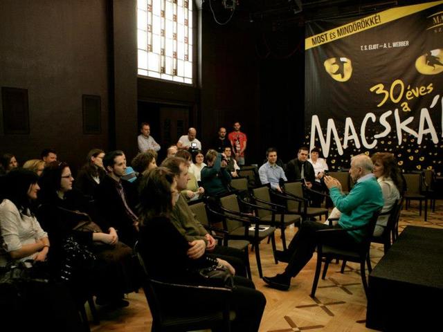Megtalálták ikertestvéreiket a Macskák