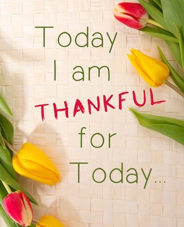 thankful-1081614_640.jpg