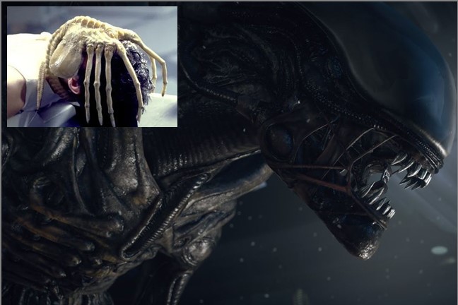 alien_1979.jpg