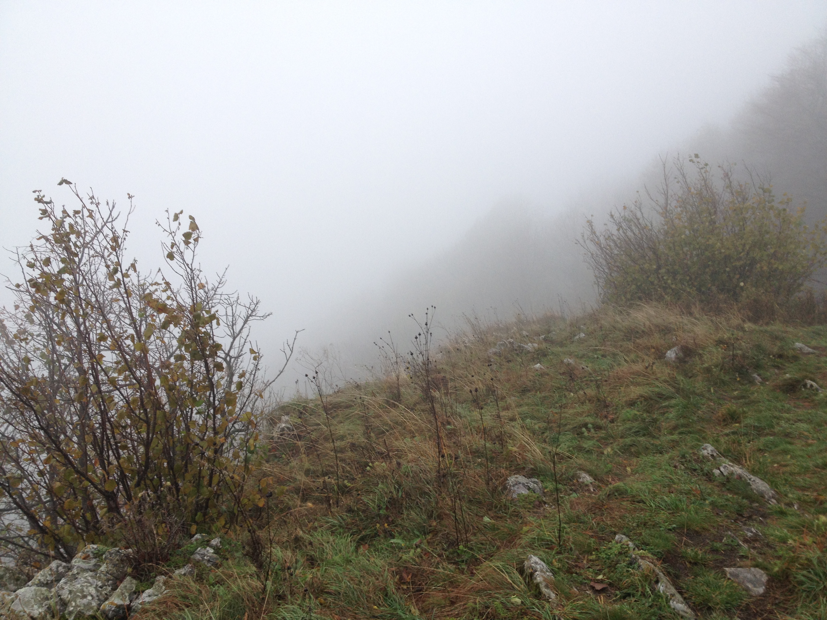 Ködbe burkolózó völgy