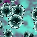 Korlátok között - a koronavírus előnyei és hátrányai