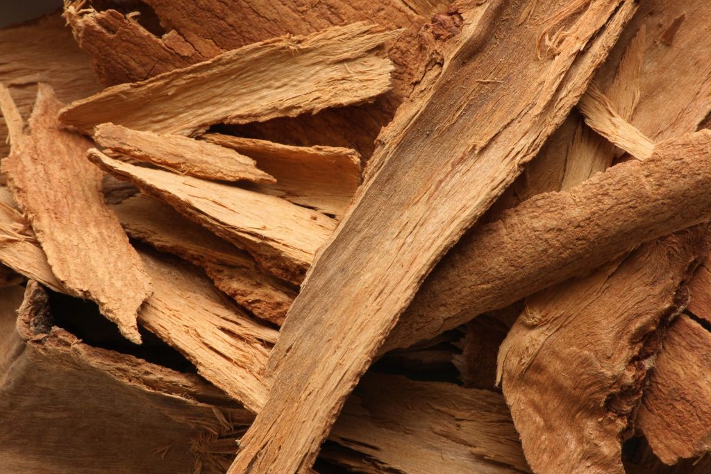 cinnamon-bark-1024x683.jpg