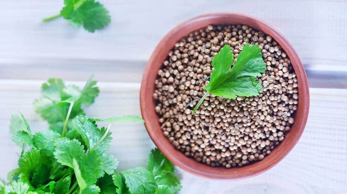 coriander-seeds-and-leaves-1296x728.jpg