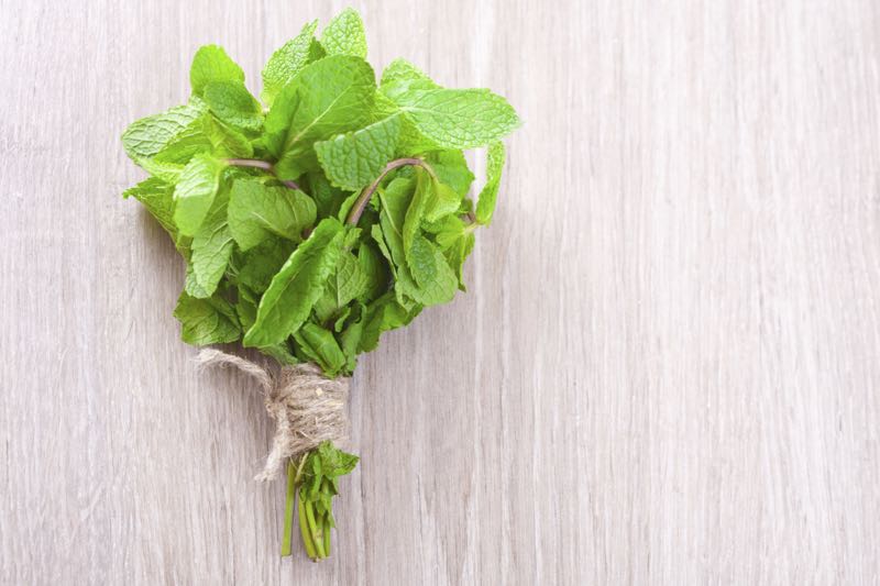 fresh-mint.jpg