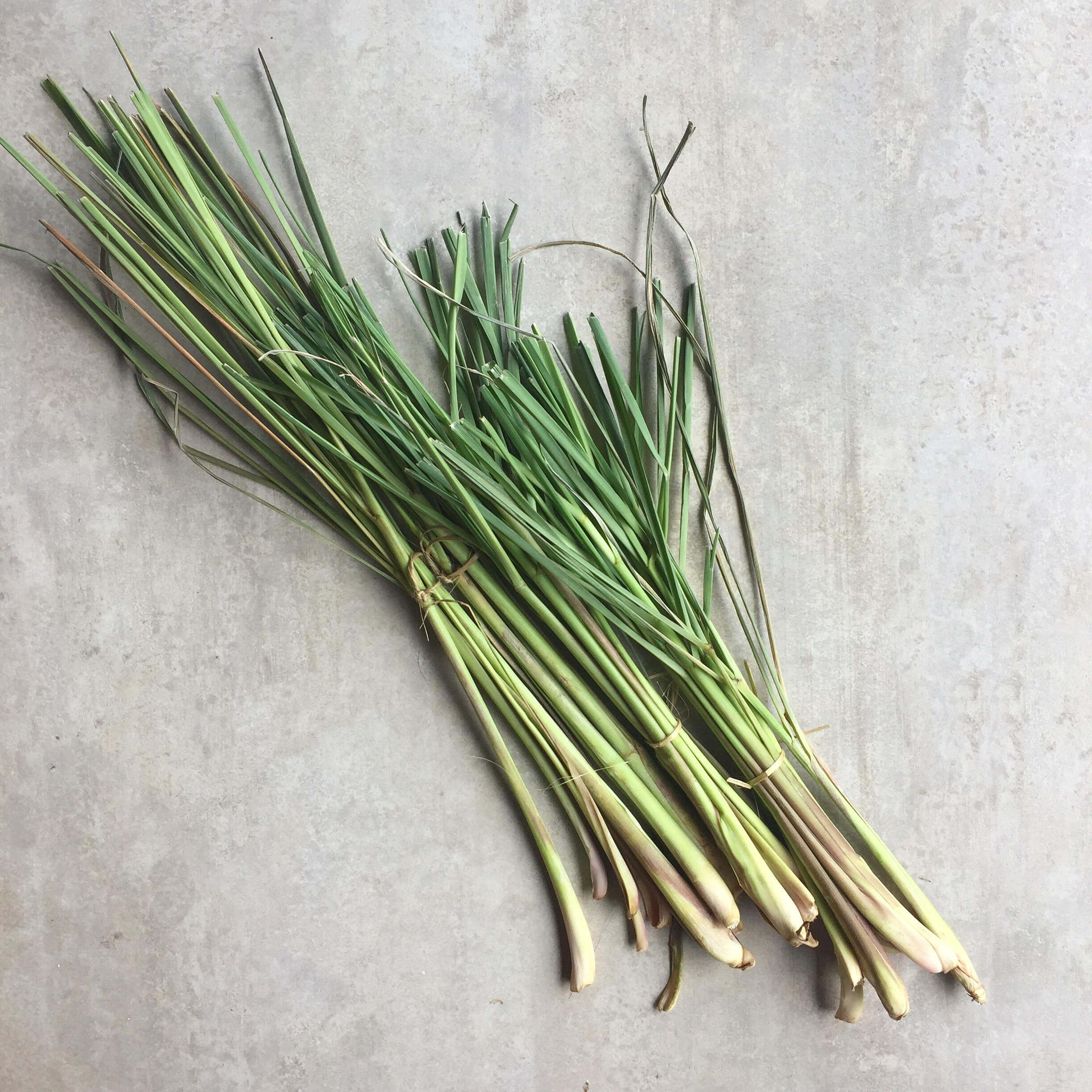 lemongrass-bundle.jpg