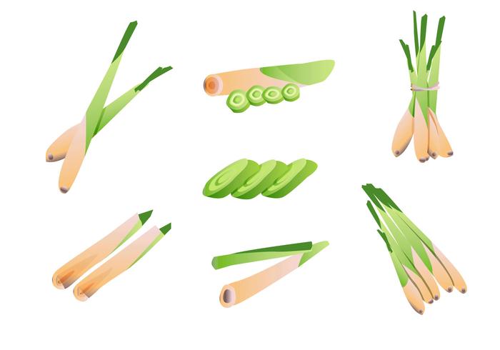 lemongrass-vector-pack.jpg