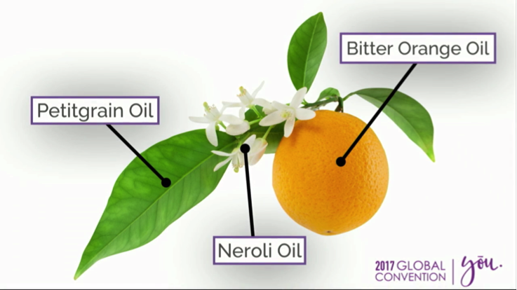 neroli2.png