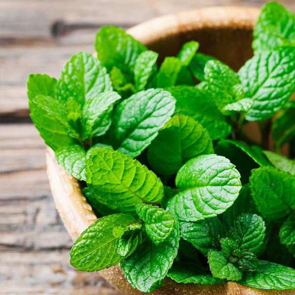 peppermint_scene_9cb9ce86-8f7a-456e-adfc-fe99aadf5c23.jpg