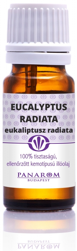 eucalyptus_radiata.jpg