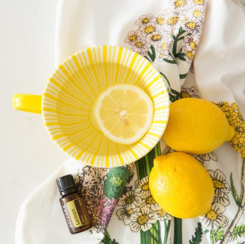 lemon2_1.JPG