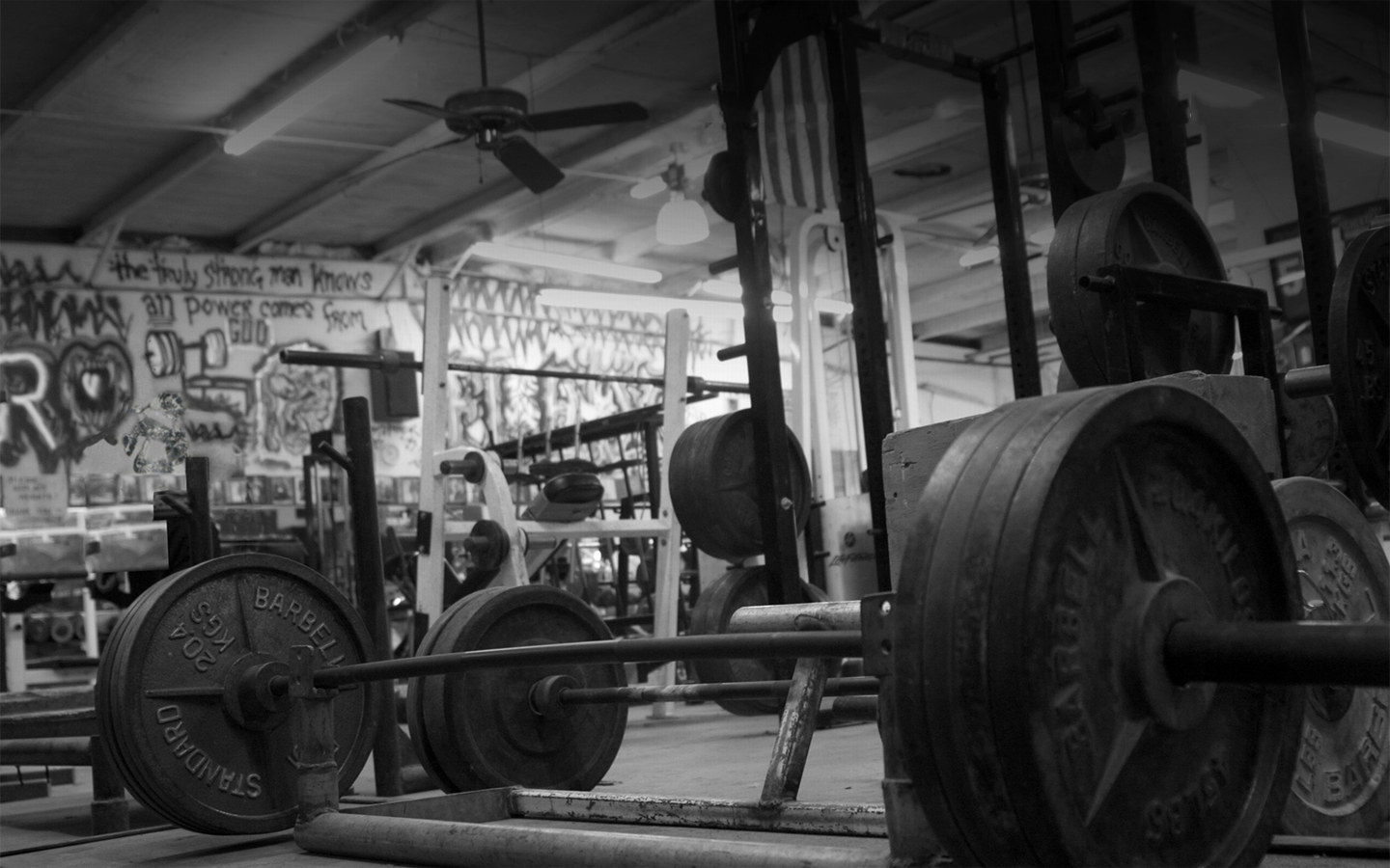 gym-1440x900vybu.jpg