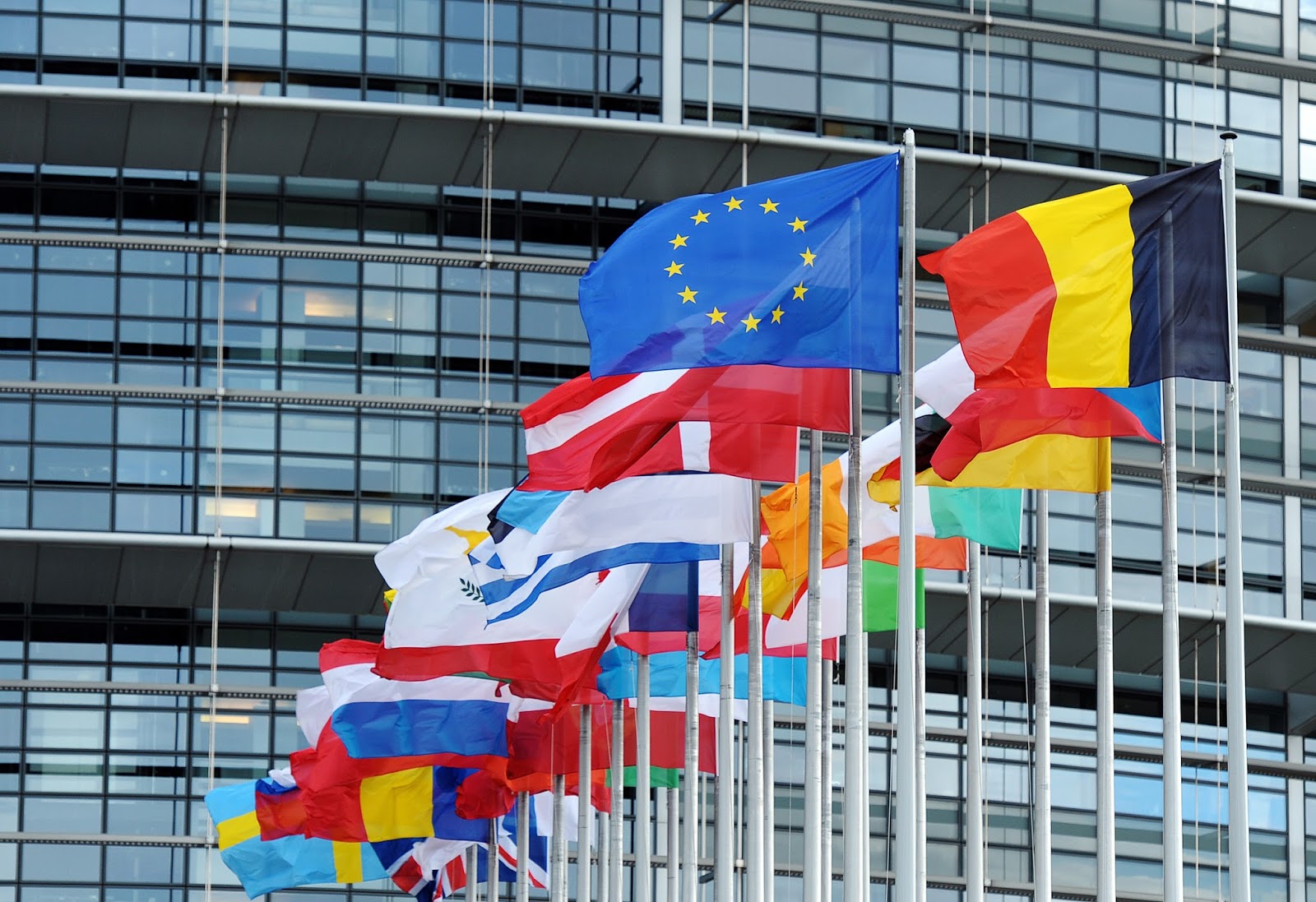 european_union_flags.jpg