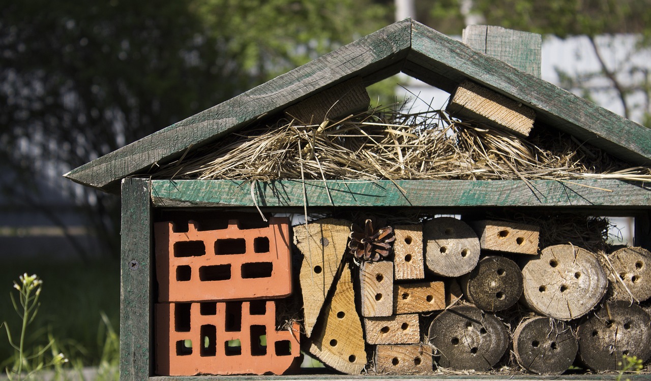 insect-hotel-7104924_1280.jpg