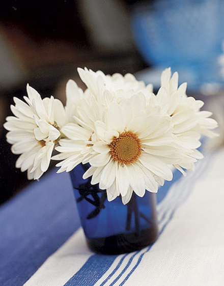 Daisies-Blue-Cup-ENTERT0605-de.jpg