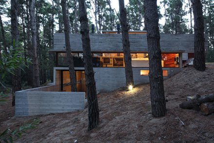 casa-levels-house-in-woods-15.jpg