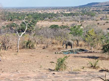 it-looks-out-on-a-man-made-watering-hole-thats-popular-with-the-local-game-this-elephant-stopped-by-for-a-drink-while-i-was-eating-lunch-one-day-and-i-took-this-picture-from-my-seat.jpg