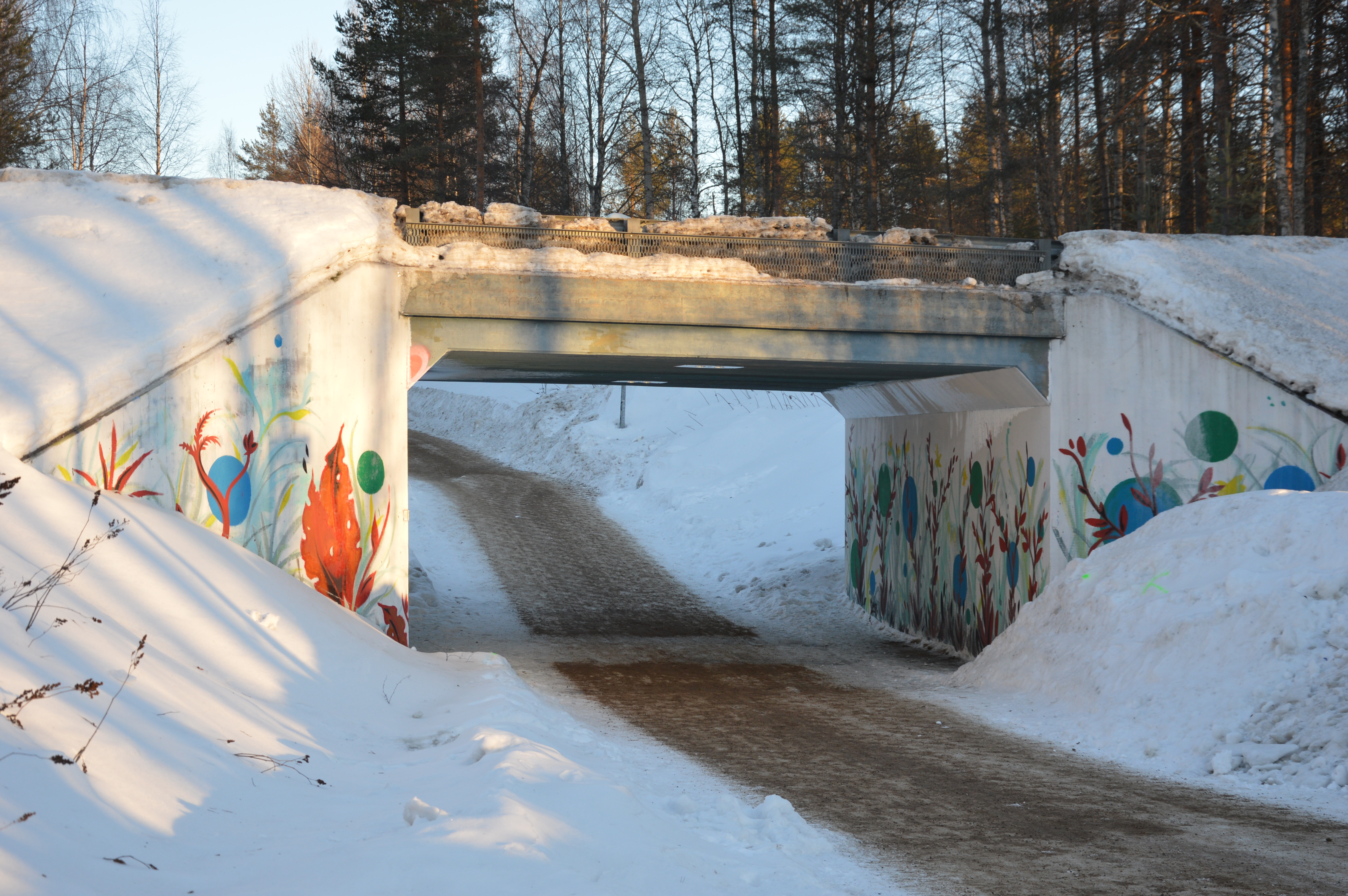 dsc_0225.JPG