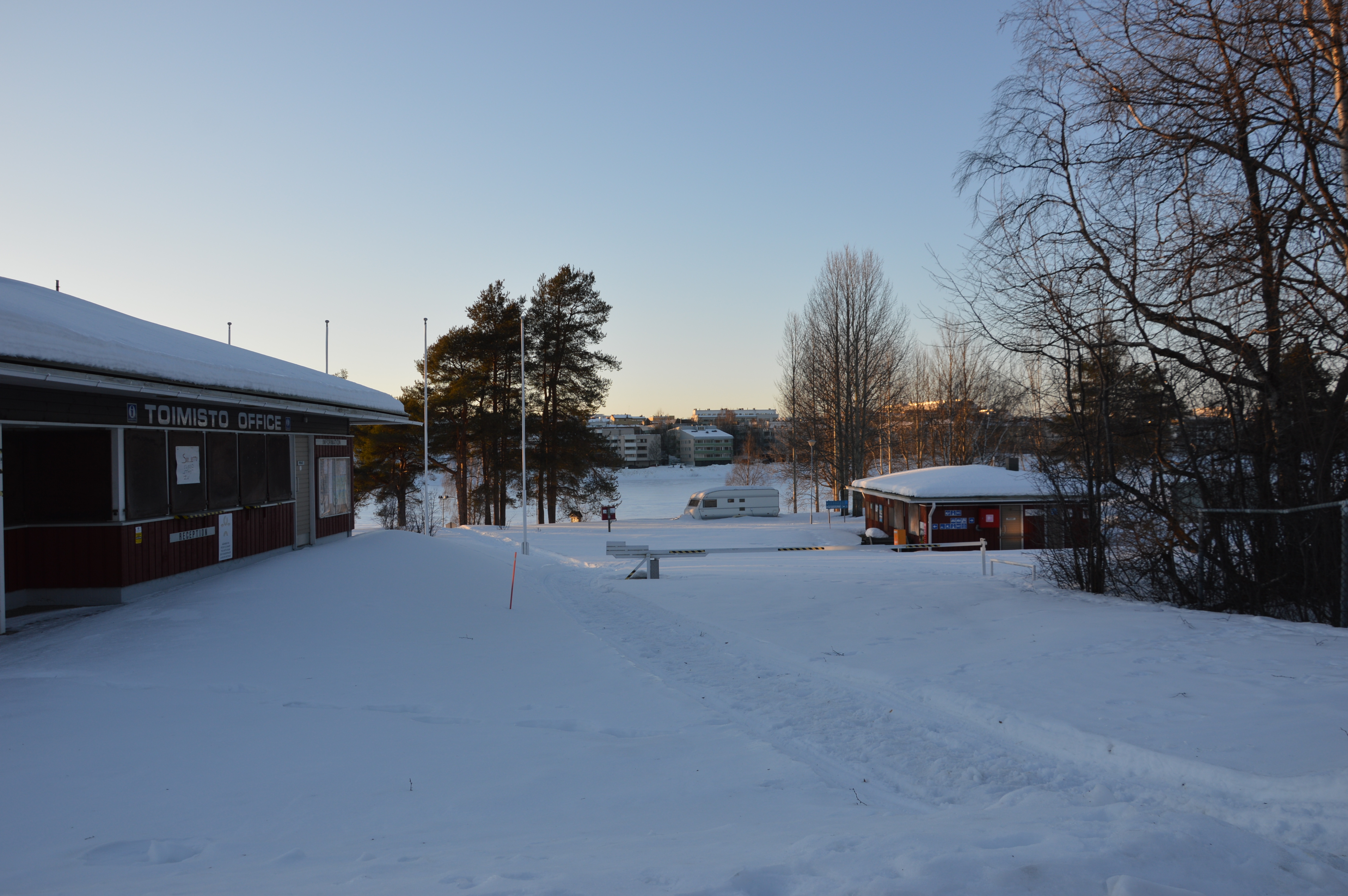 dsc_0253.JPG