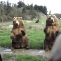 Szevasztok!