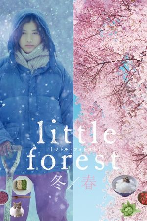 littleforestwinterspring.jpg